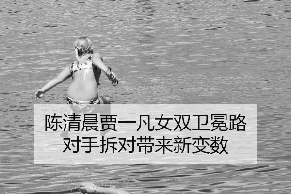 chen-qing-chen-jia-yi-fan-nv-shuang-wei-mian-lu-dui-shou-chai-dui-dai-lai-xin-bian-shu-3-876.jpg