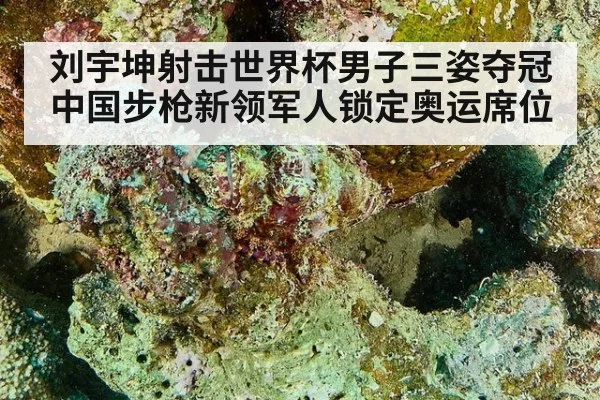 刘宇坤射击世界杯男子三姿夺冠中国步枪新领军人锁定奥运席位