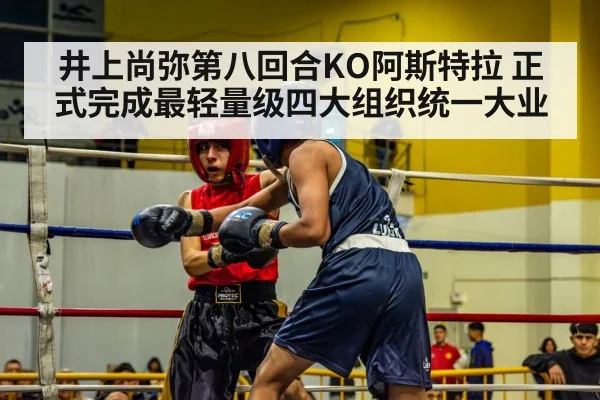 井上尚弥第八回合KO阿斯特拉 正式完成最轻量级四大组织统一大业