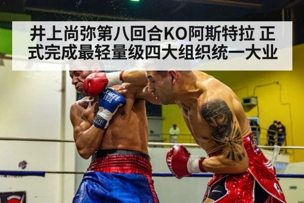 boxer knockout punch